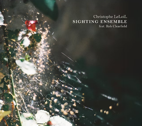 Christophe Leloil — Sighting